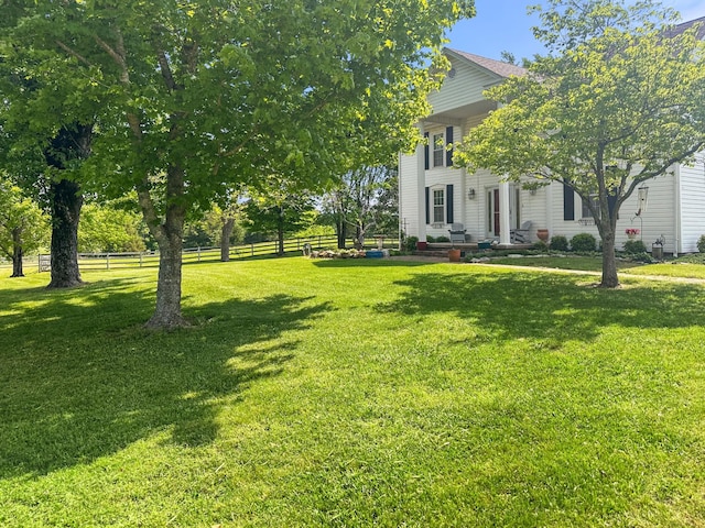 4957 Decatur Highway Highway, Ten Mile, TN 37880 - view of yard