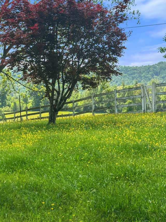 4957 Decatur Highway Highway, Ten Mile, TN 37880 - view of yard