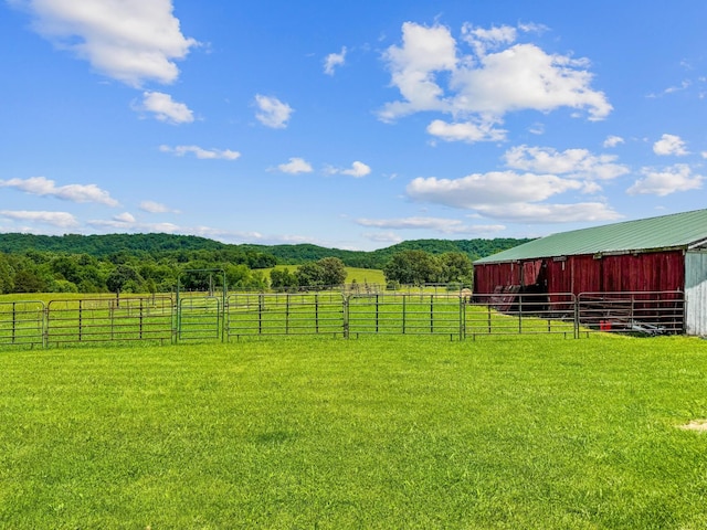 4957 Decatur Highway Highway, Ten Mile, TN 37880 - view of grassy yard with an outbuilding, an exterior structure, a rural view, and a forest view