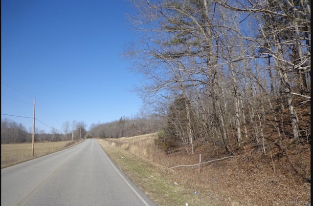 210 Tennessee Ridge Rd, Waverly, TN 37185 - photo 2
