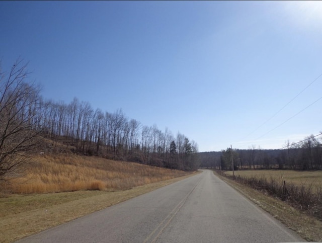 210 Tennessee Ridge Rd, Waverly, TN 37185 - photo 1