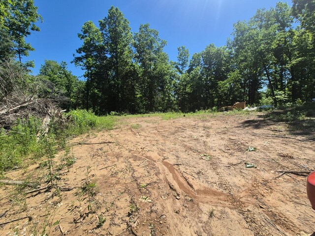 210 Tennessee Ridge Rd, Waverly, TN 37185 - photo 6