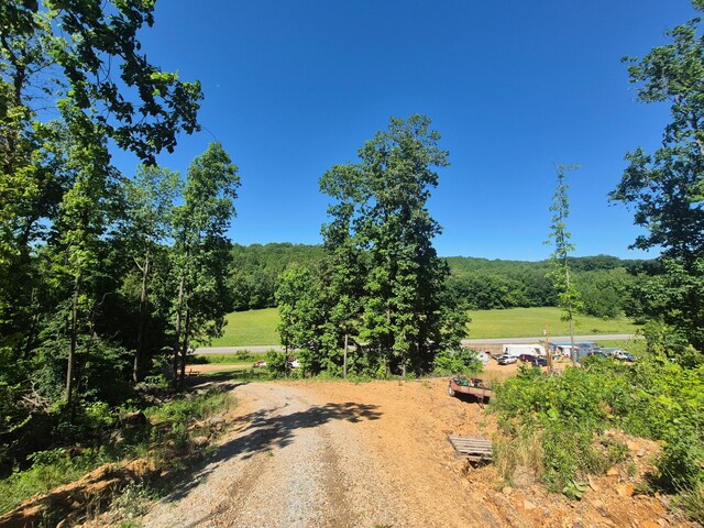 210 Tennessee Ridge Rd, Waverly, TN 37185 - photo 3