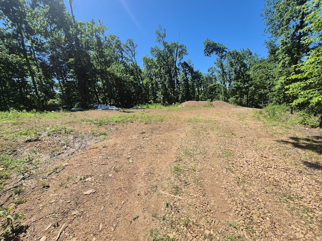 210 Tennessee Ridge Rd, Waverly, TN 37185 - photo 5