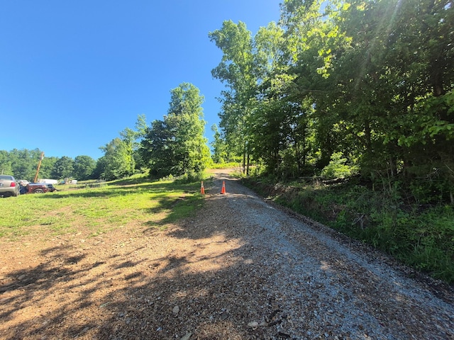 210 Tennessee Ridge Rd, Waverly, TN 37185 - photo 15