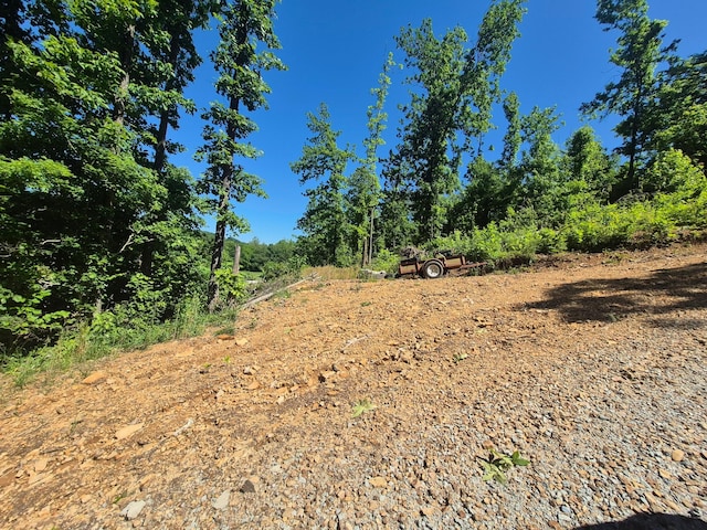 210 Tennessee Ridge Rd, Waverly, TN 37185 - photo 17