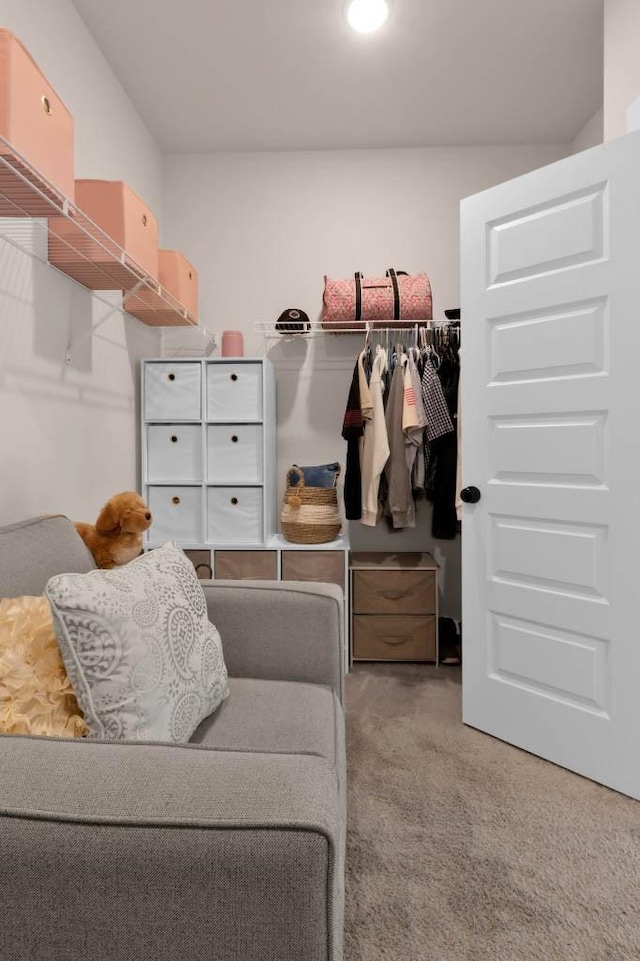 3608 Barbee Ct, Rockvale, TN 37153 - spacious closet with carpet