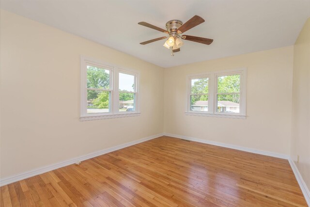 104 Camellia Dr, Florence, AL 35633 - photo 13