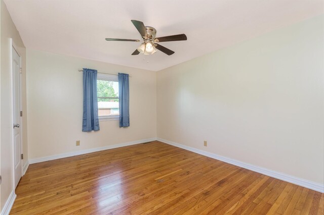 104 Camellia Dr, Florence, AL 35633 - photo 12
