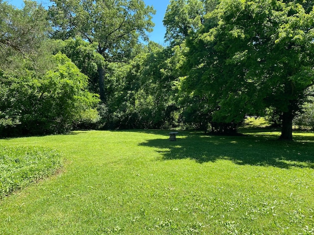0 Grapevine Ave, Madison, TN 37115 - photo 8