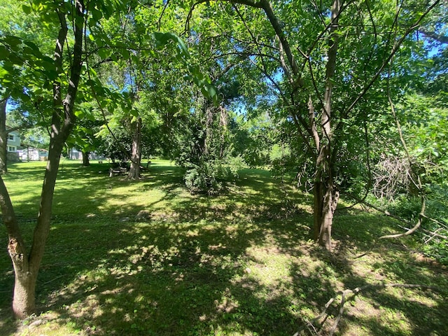 0 Grapevine Ave, Madison, TN 37115 - photo 5