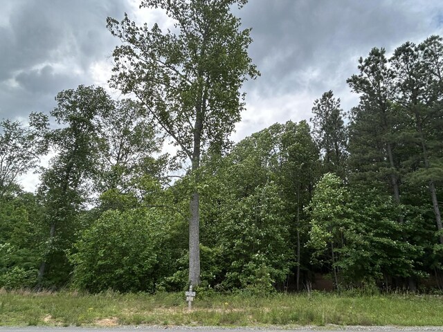 464 Moonlight Ln, Jasper, TN 37347 - photo 9