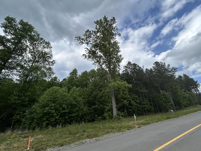 464 Moonlight Ln, Jasper, TN 37347 - photo 11
