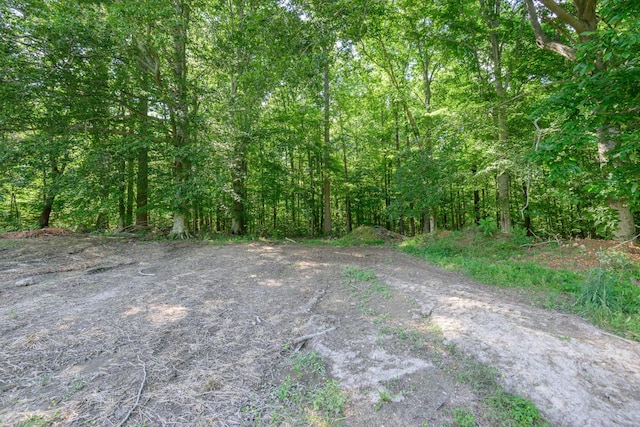 1474 Pea Ridge Rd, Manchester, TN 37355 - view of wooded area