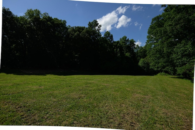 1474 Pea Ridge Rd, Manchester, TN 37355 - view of green lawn