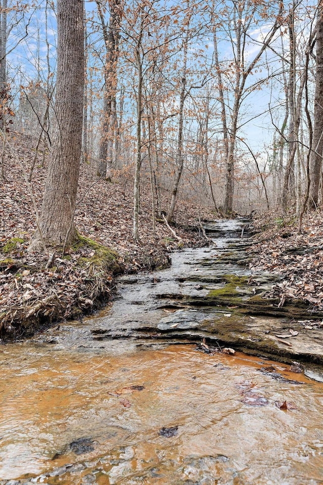 1001 Tudor Rd, Ashland City, TN 37015 - photo 1