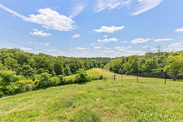 1001 Tudor Rd, Ashland City, TN 37015 - photo 32