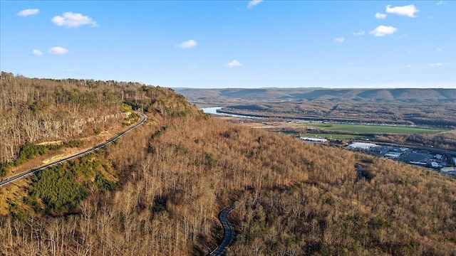 3670 Main St Unit 5, Jasper, TN 37347 - aerial view of a mountain backdrop and a forest