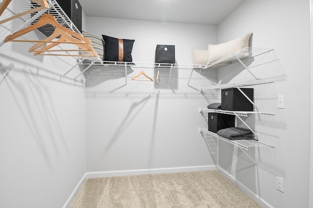 400 Coates Ln, Spring Hill, TN 37174 - walk in closet with carpet floors