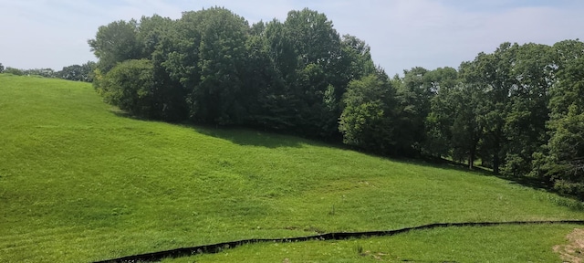 5405 Manners Rd, Lebanon, TN 37087 - view of green lawn