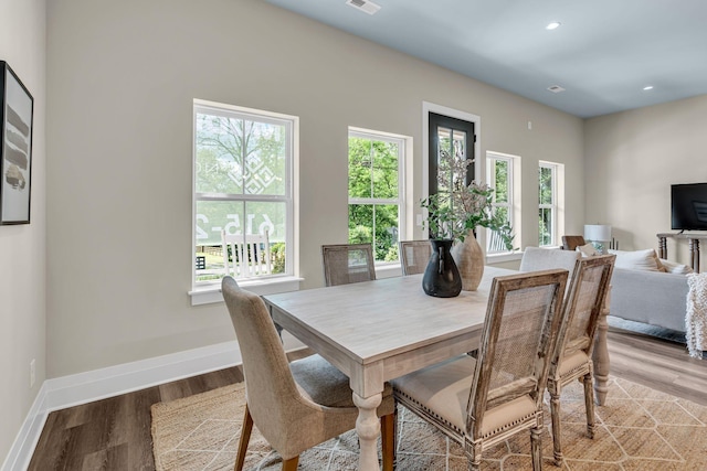1004 Noble Loop Unit 49, Nashville, TN 37211 - dining room with plenty of natural light, baseboards, light wood-style floors, and recessed lighting