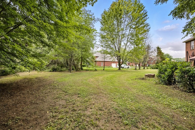3198 Gray Hawk Ct, Clarksville, TN 37043 - view of grassy yard