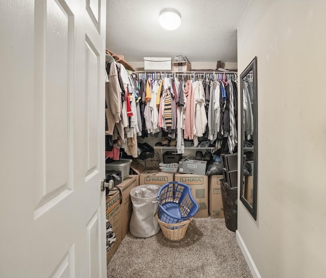 3198 Gray Hawk Ct, Clarksville, TN 37043 - spacious closet featuring carpet