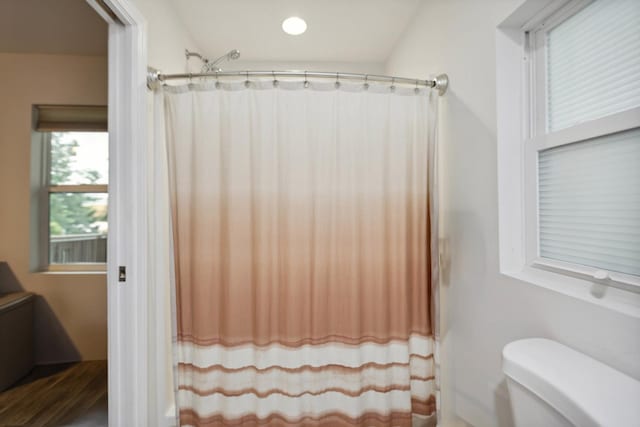 1602 Pleasant Grove Rd, Westmoreland, TN 37186 - bathroom featuring toilet, curtained shower, and wood finished floors