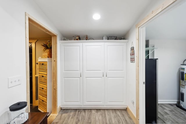 1602 Pleasant Grove Rd, Westmoreland, TN 37186 - bedroom with light wood finished floors and electric water heater