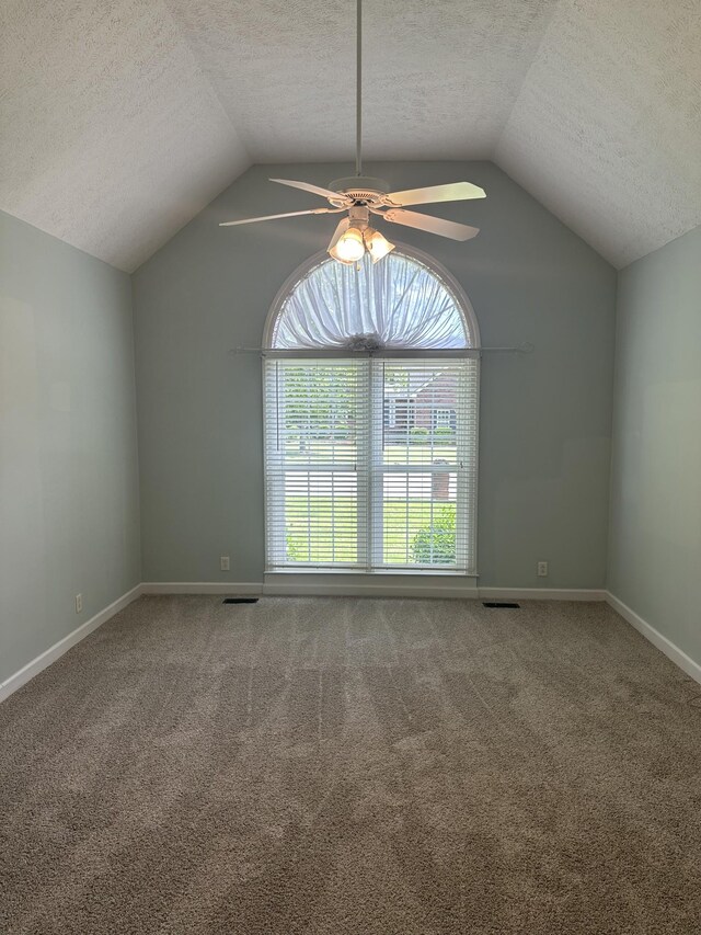 206 Sayre Ln, Murfreesboro, TN 37127 - carpeted spare room featuring lofted ceiling, a textured ceiling, a ceiling fan, and baseboards