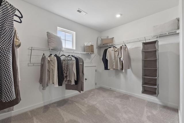2502 Beverly Gail Rd, Pleasant View, TN 37146 - walk in closet featuring carpet flooring
