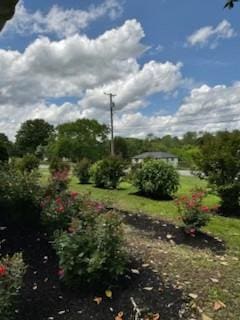 904 Apple Valley Rd, Madison, TN 37115 - view of yard
