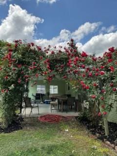 904 Apple Valley Rd, Madison, TN 37115 - view of yard featuring a patio area