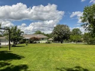 904 Apple Valley Rd, Madison, TN 37115 - view of green lawn