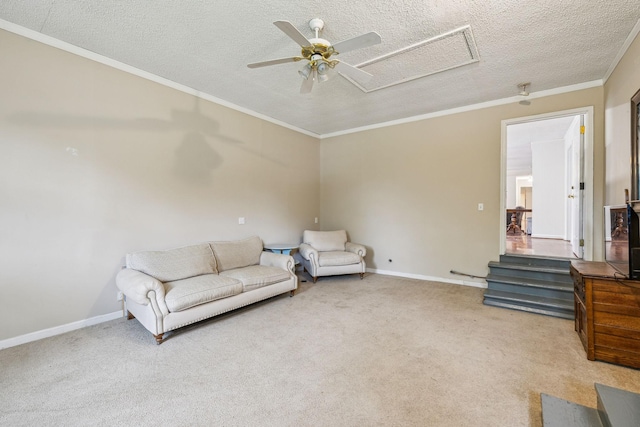 979 S Main St S, Eagleville, TN 37060 - living area with attic access, ceiling fan, carpet floors, baseboards, and a textured ceiling