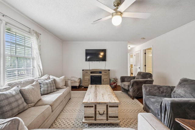 979 S Main St S, Eagleville, TN 37060 - living area with a textured ceiling, light wood finished floors, a ceiling fan, and ornamental molding