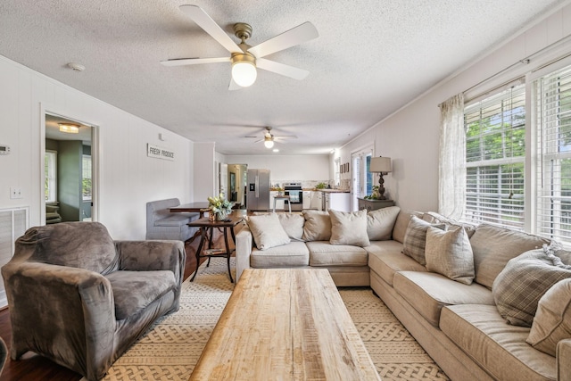 979 S Main St S, Eagleville, TN 37060 - living area featuring ceiling fan, a textured ceiling, ornamental molding, and light wood-style flooring