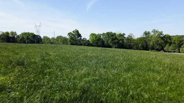 691 Green Hill Blvd, Brentwood, TN 37027 - photo 7