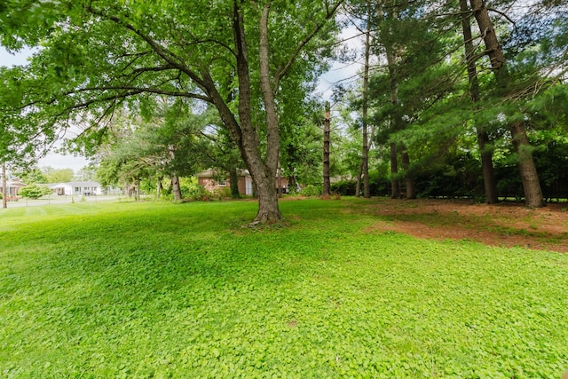 1405 SE Broad St, Murfreesboro, TN 37130 - view of yard