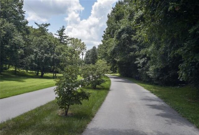 4357 Chickering Ln, Nashville, TN 37215 - photo 4
