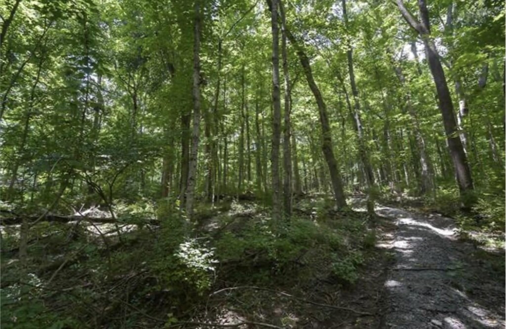 4357 Chickering Ln, Nashville, TN 37215 - photo 2