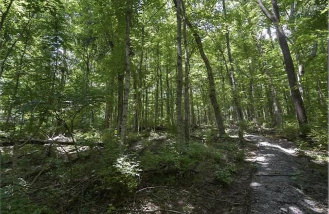 4357 Chickering Ln, Nashville, TN 37215 - photo 2
