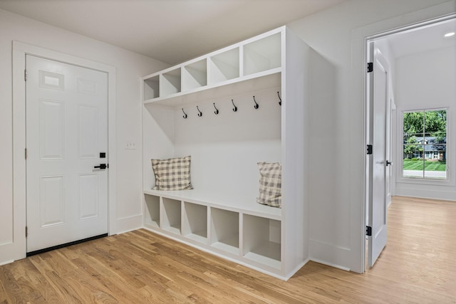 1412 Knox Valley Dr, Brentwood, TN 37027 - mudroom with light wood-type flooring and baseboards