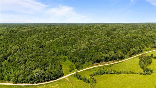 4040 Jack Saunders Rd, Waverly, TN 37185 - photo 26