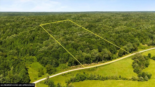 4040 Jack Saunders Rd, Waverly, TN 37185 - photo 27