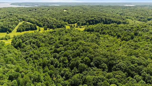 4040 Jack Saunders Rd, Waverly, TN 37185 - photo 21