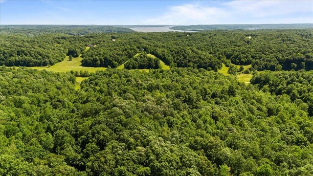4040 Jack Saunders Rd, Waverly, TN 37185 - photo 18