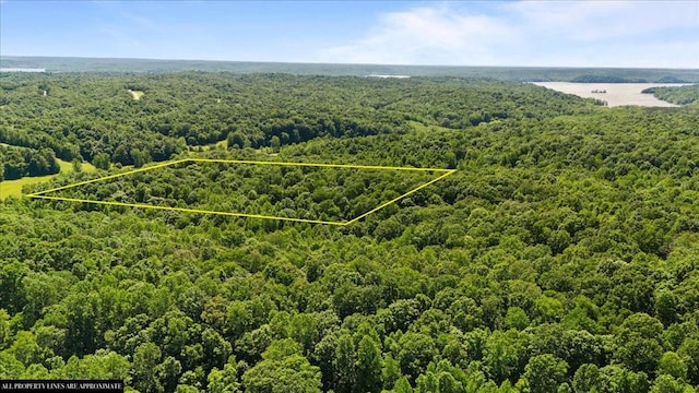 4040 Jack Saunders Rd, Waverly, TN 37185 - photo 13