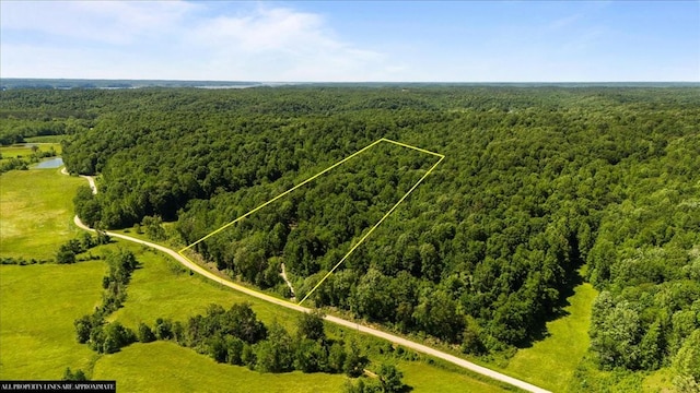4040 Jack Saunders Rd, Waverly, TN 37185 - photo 1