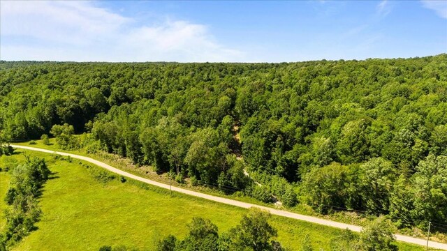 4040 Jack Saunders Rd, Waverly, TN 37185 - photo 24